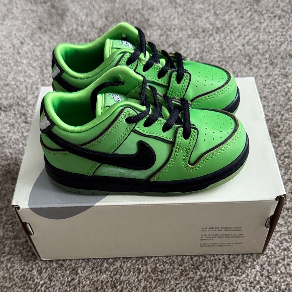 Nike SB Dunk Low Pro QS (TD)